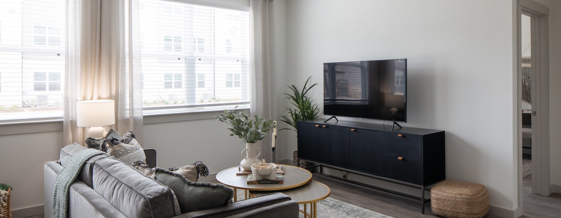 Living Room With TV